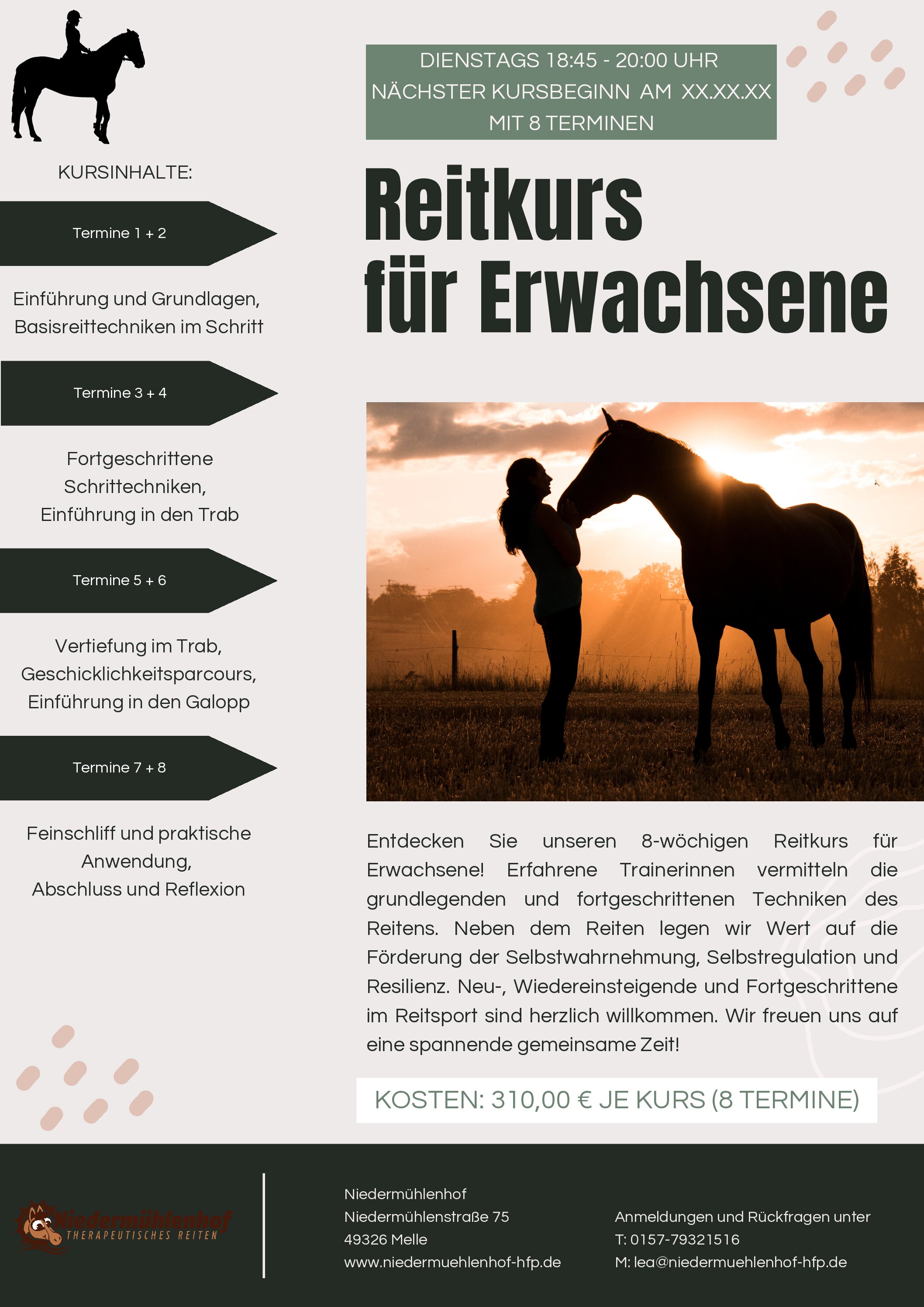 Reitkurs für Erwachsene